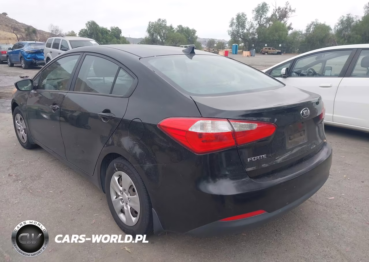 2016 Kia Forte Lx VIN:KNAFK4A60G5539355 - 3