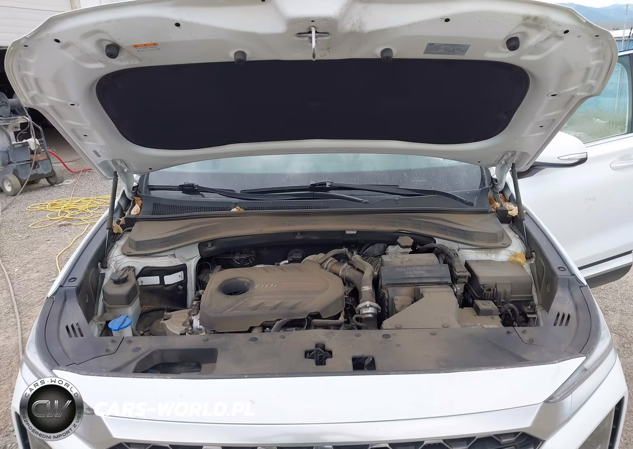 2020 Hyundai Santa Fe Sel 2.0T VIN:5NMS3CAAXLH215981 - 10