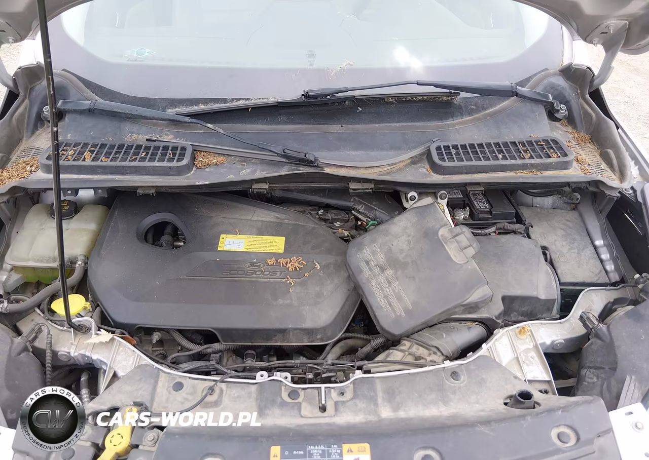 2013 Ford Escape Sel VIN:1FMCU0HX6DUD31839 - 10