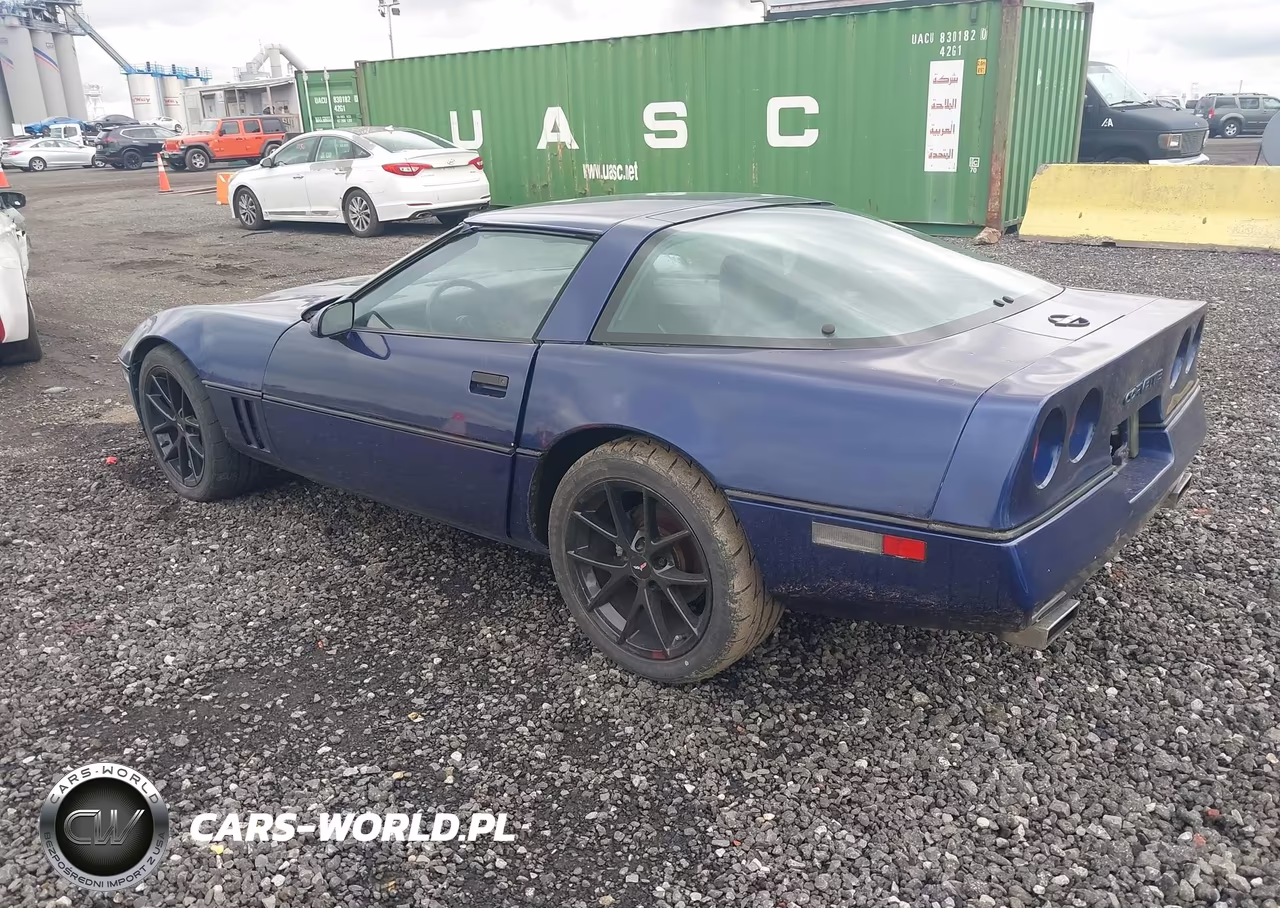 1984 Chevrolet Corvette VIN:1G1AY0786E5113317 - 3