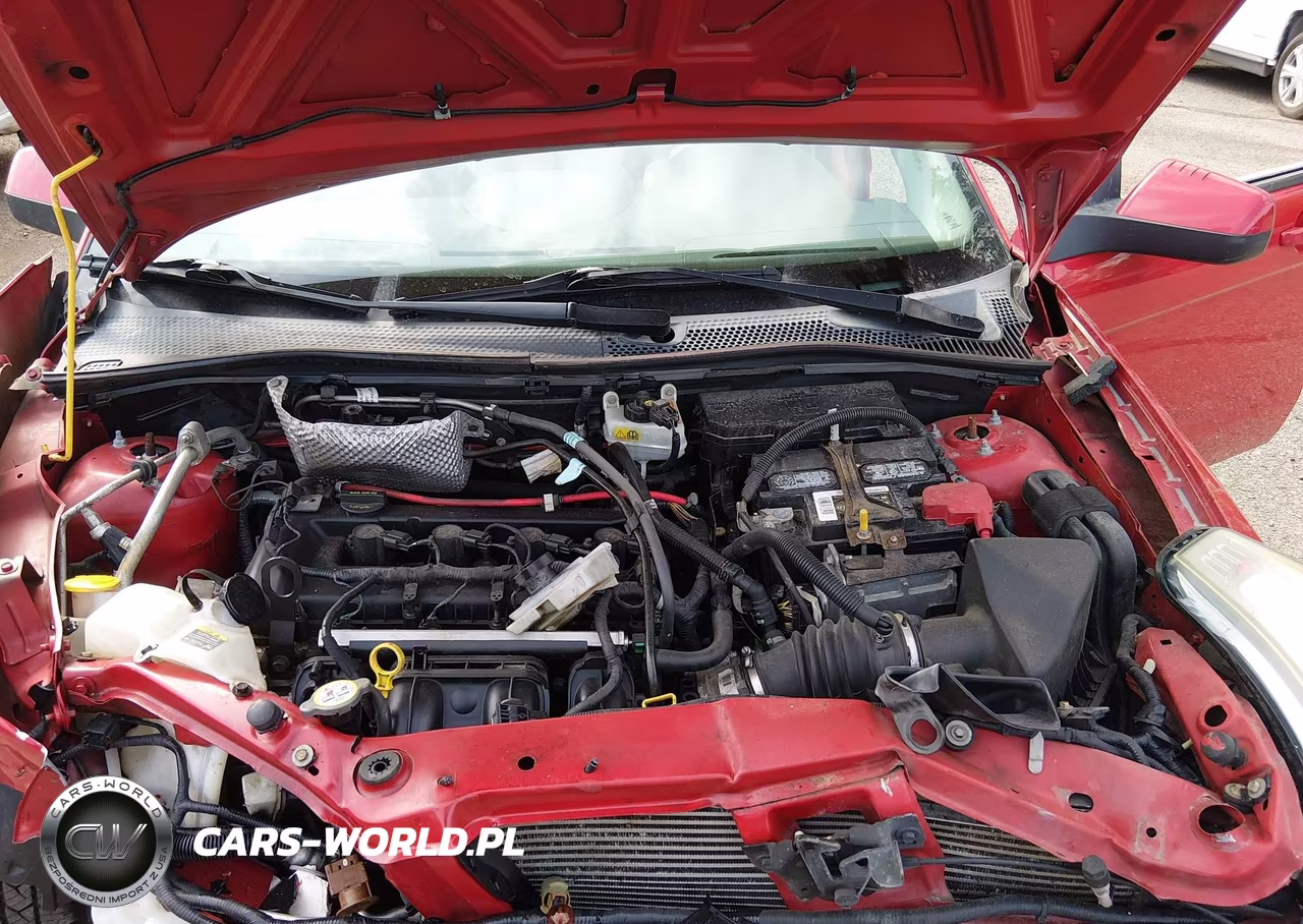 2008 Ford Focus Ses VIN:1FAHP35NX8W143623 - 10