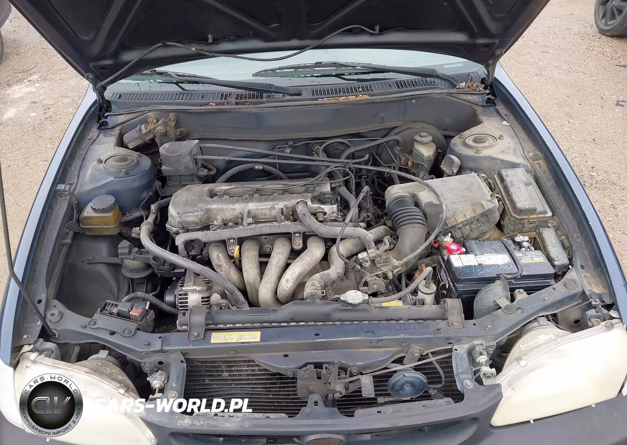 1998 Toyota Corolla Le VIN:1NXBR18E5WZ095902 - 10