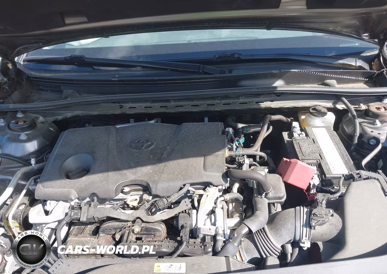 2019 Toyota Camry Le VIN:4T1B11HK0KU853278 - 10
