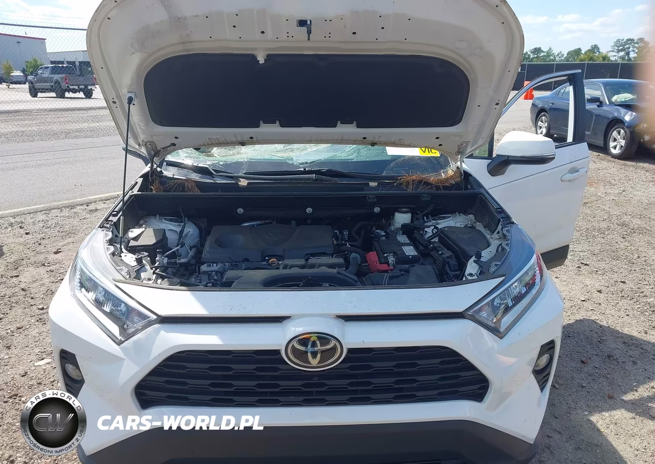 2020 Toyota Rav4 Xle VIN:2T3W1RFV1LW059945 - 10