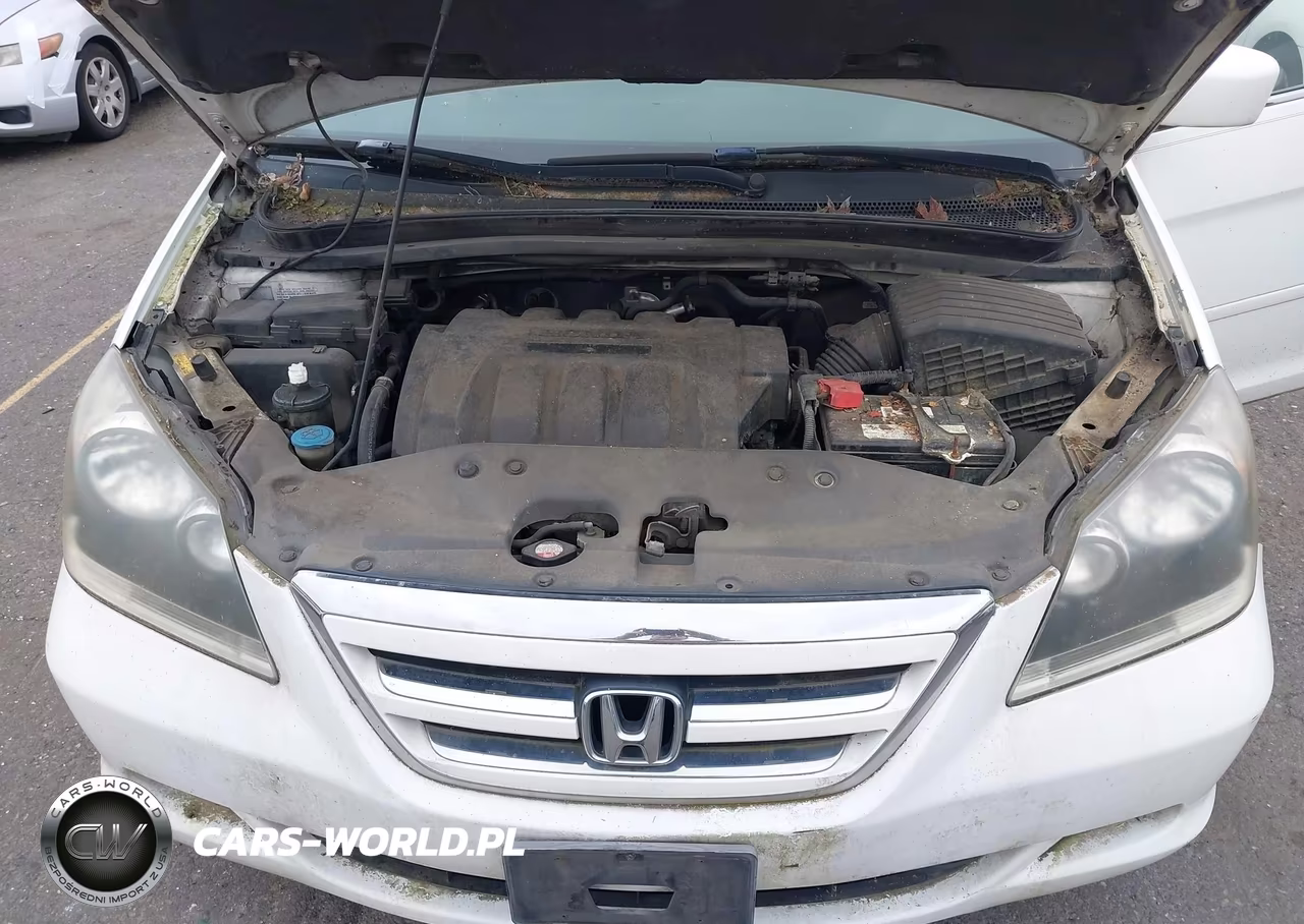 2005 Honda Odyssey Ex VIN:5FNRL384X5B032437 - 10