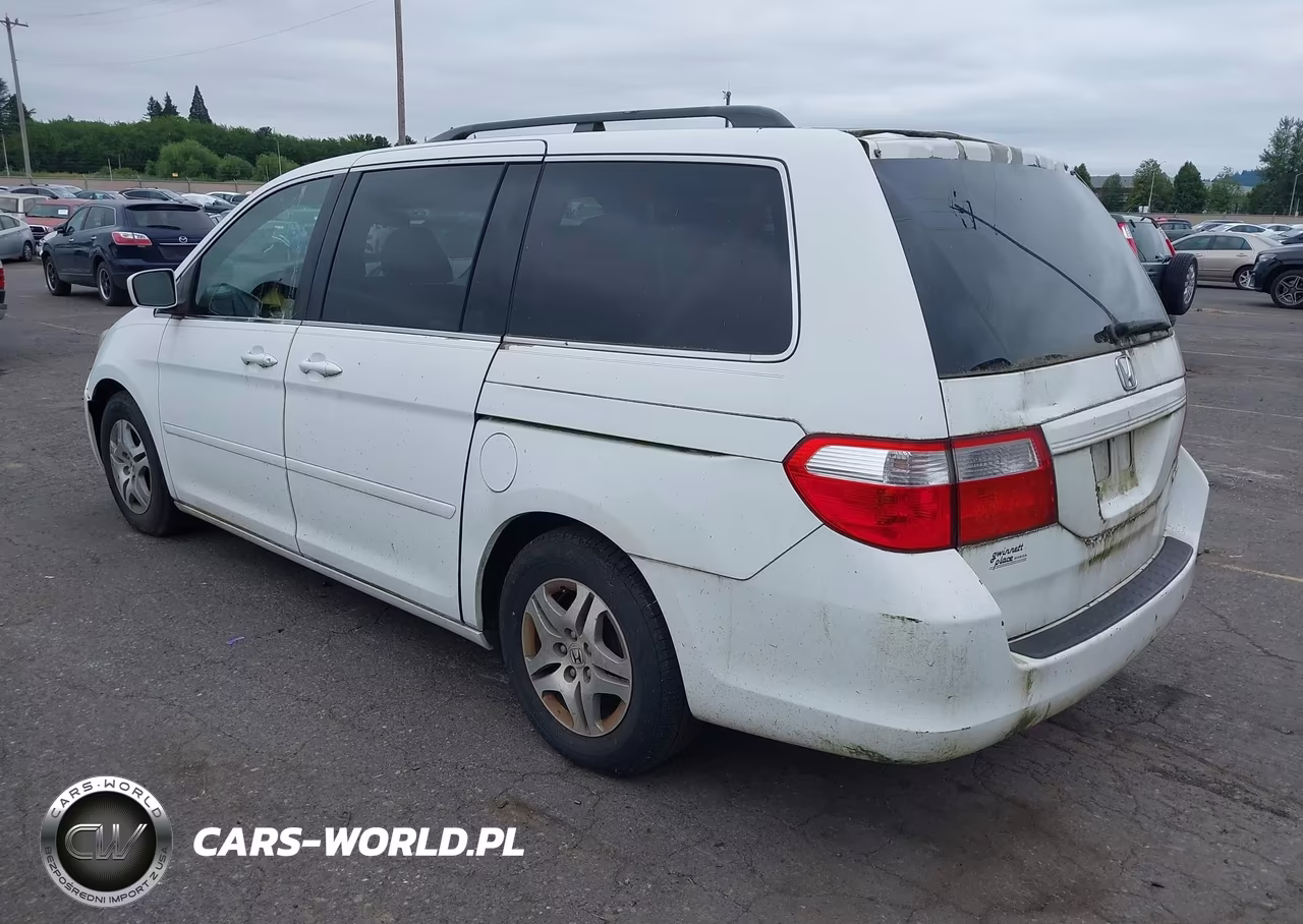 2005 Honda Odyssey Ex VIN:5FNRL384X5B032437 - 3