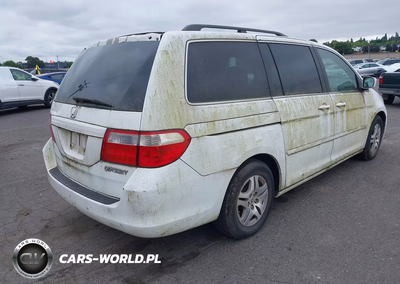 2005 Honda Odyssey Ex VIN:5FNRL384X5B032437 - 4
