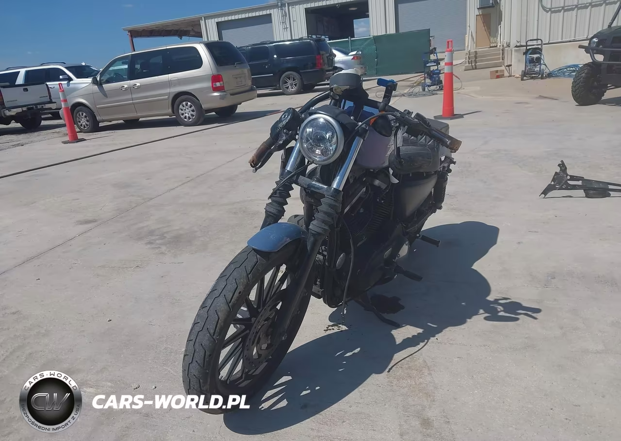 2015 Harley-Davidson Xl883 Iron 883 VIN:1HD4LE237FC441496 - 2