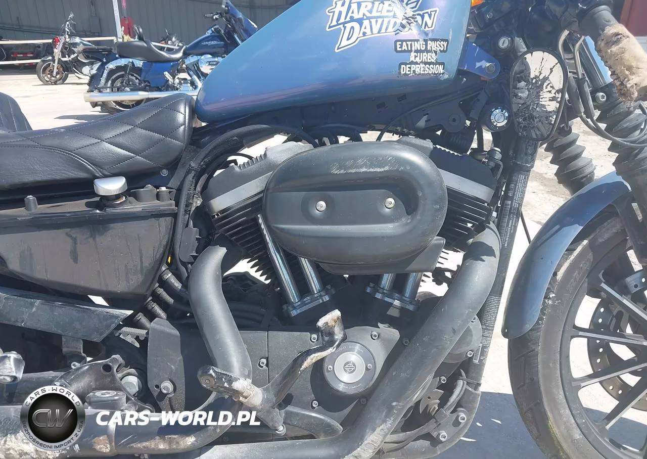 2015 Harley-Davidson Xl883 Iron 883 VIN:1HD4LE237FC441496 - 8
