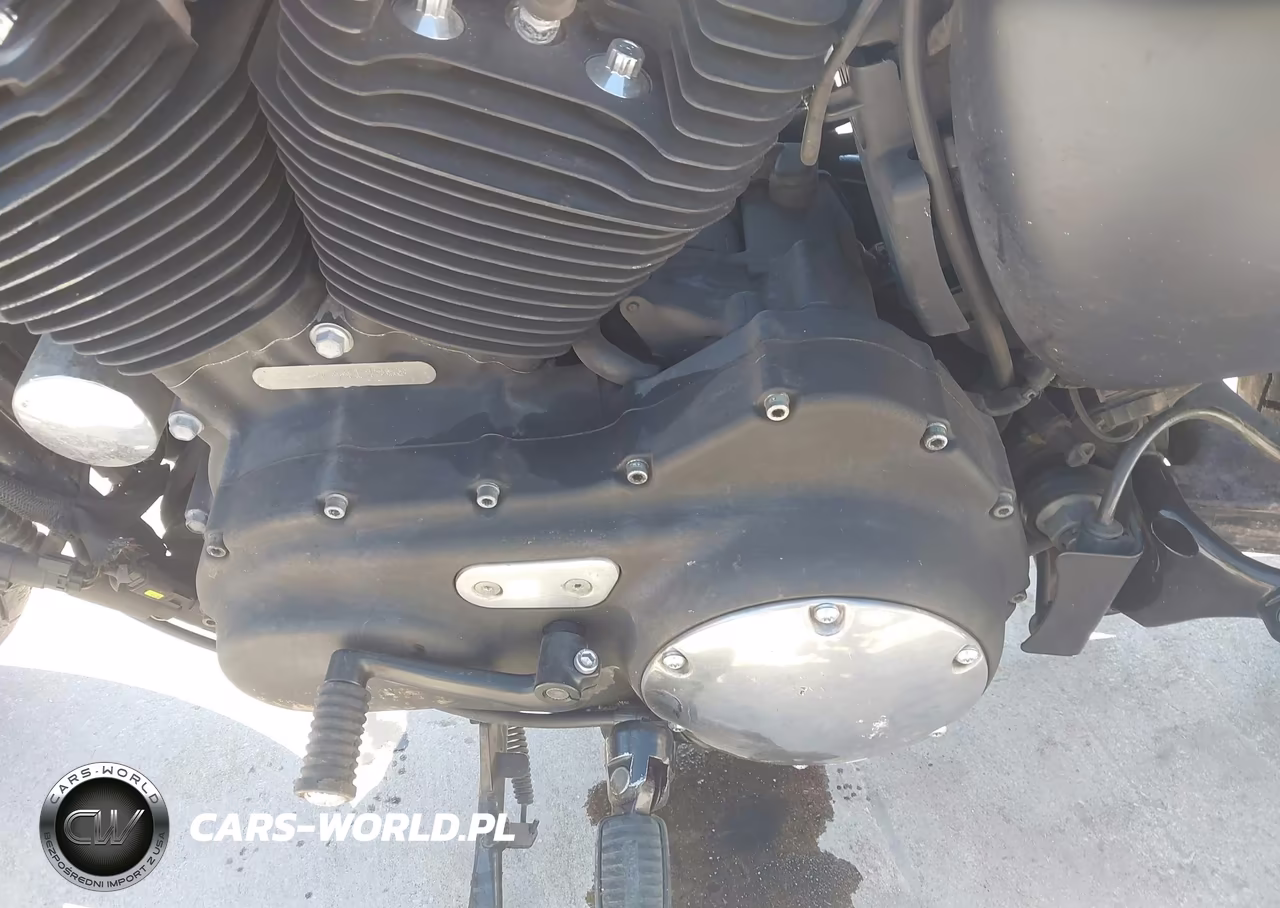 2015 Harley-Davidson Xl883 Iron 883 VIN:1HD4LE237FC441496 - 9