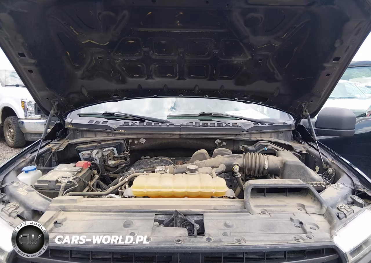 2020 Ford F-150 Xl VIN:1FTEX1EB0LFC24274 - 10