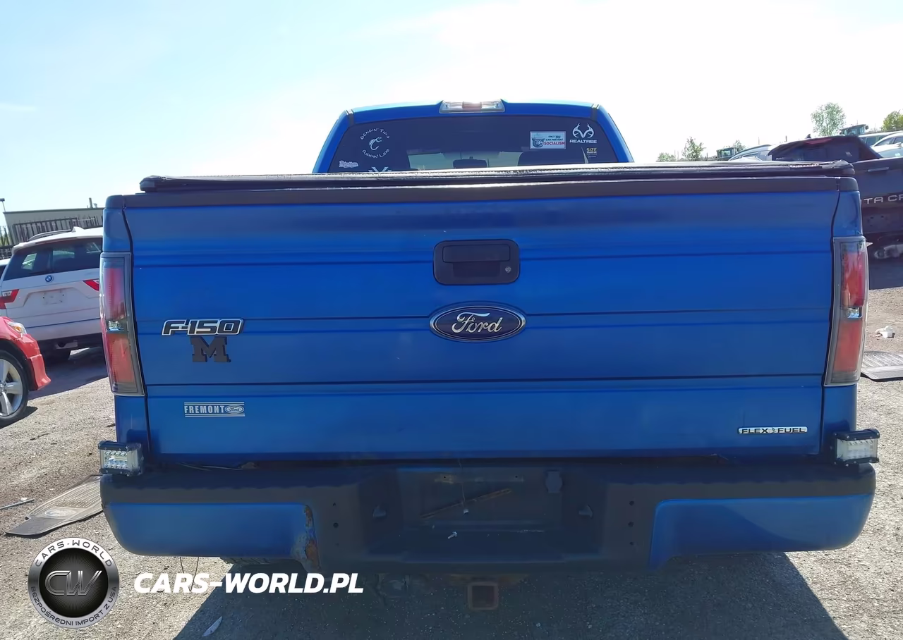 2013 Ford F-150 Stx VIN:1FTFX1EF0DFA88026 - 16