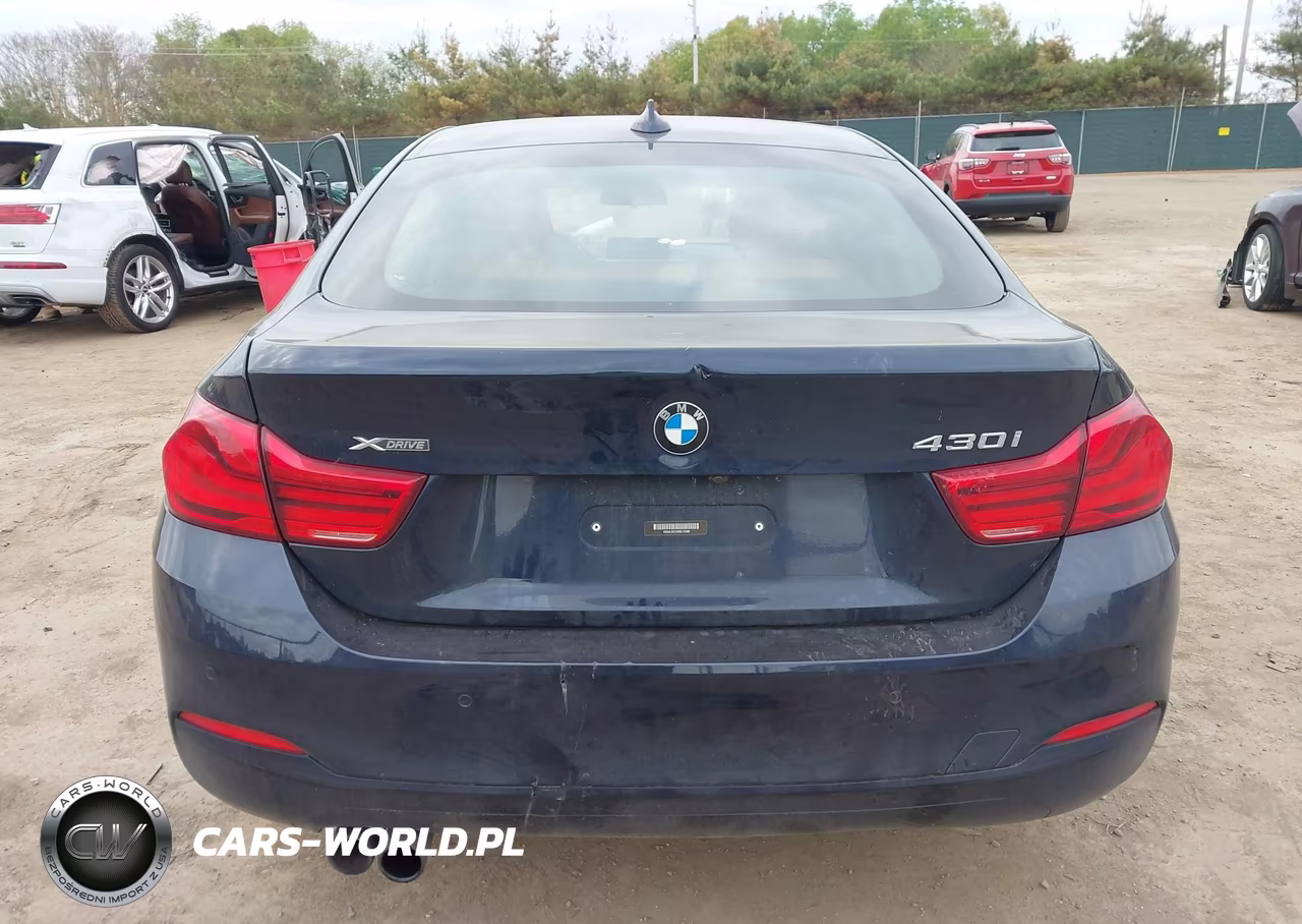 2019 BMW 430I Gran Coupe xDrive VIN:WBA4J3C53KBL10588 - 17
