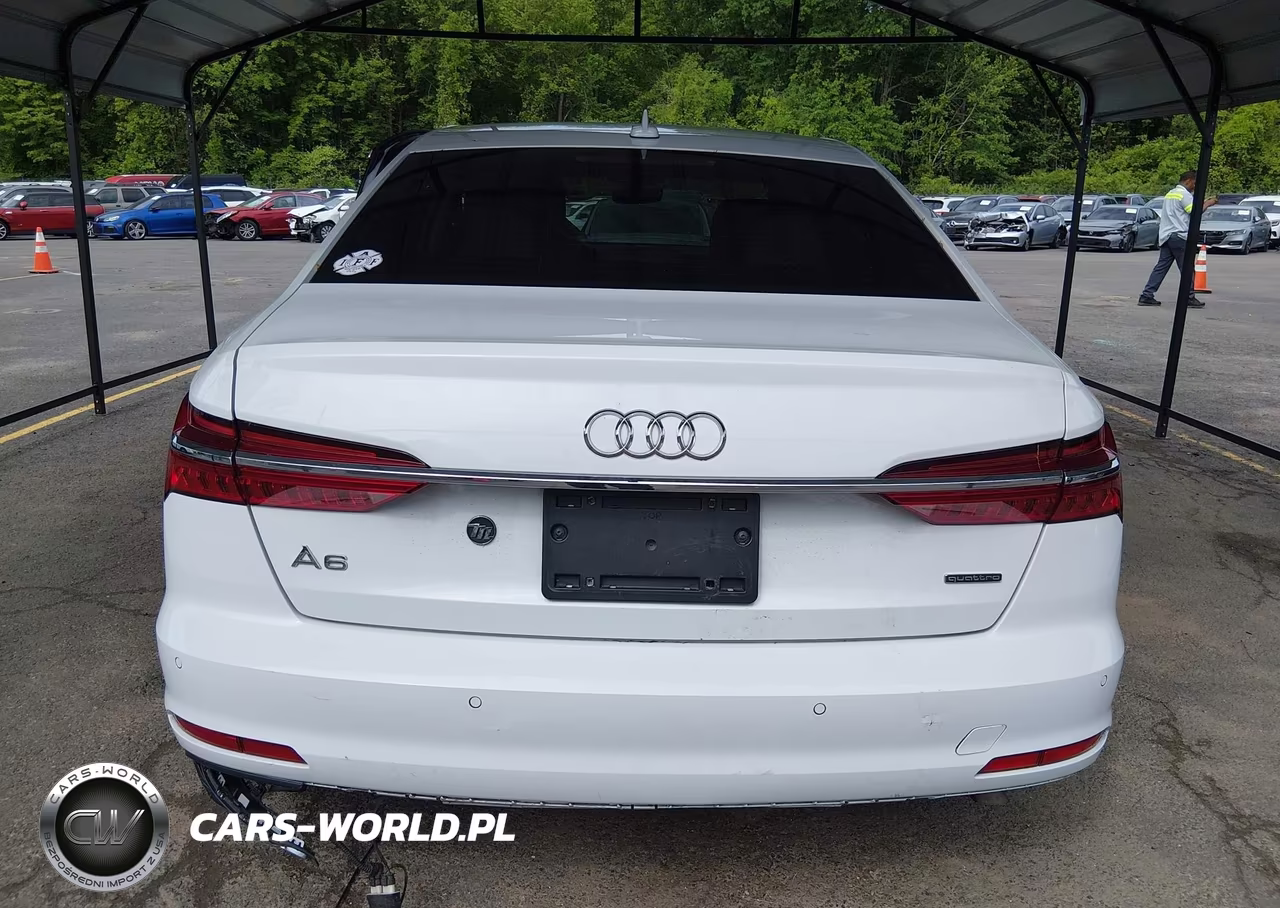 2020 Audi A6 Premium Plus 45 Tfsi Quattro S Tronic VIN:WAUE8AF25LN085516 - 17
