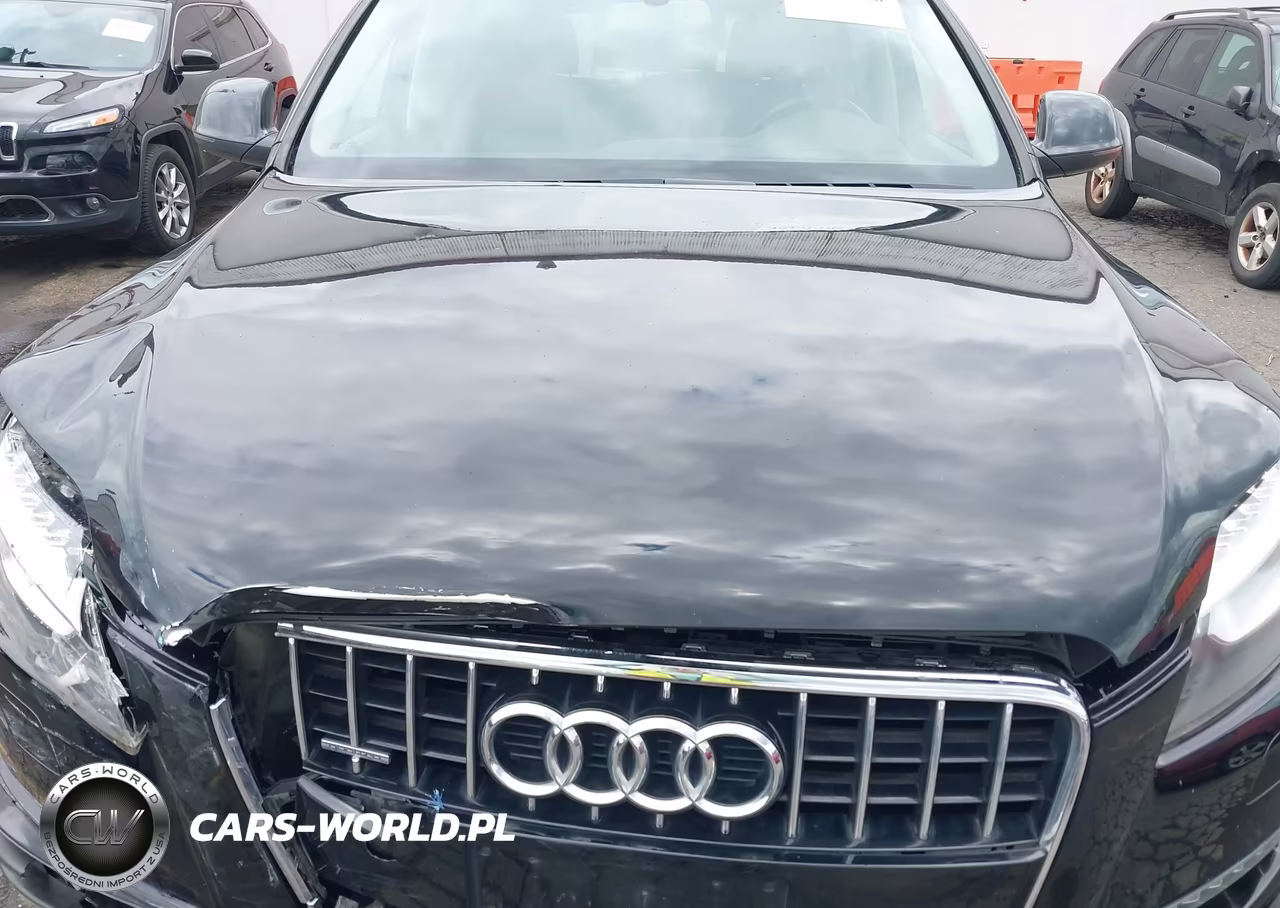2014 Audi Q7 3.0T Premium VIN:WA1LGAFE8ED006687 - 10