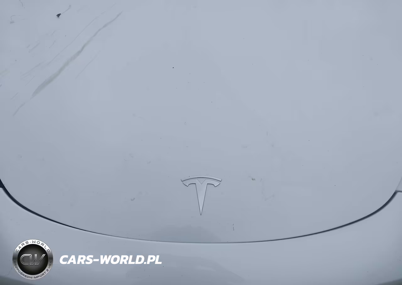 2018 Tesla Model 3 Long Range-Performance VIN:5YJ3E1EB1JF067076 - 10