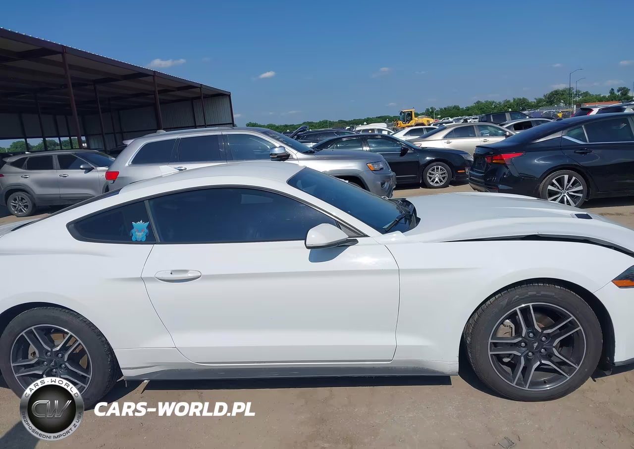 2021 Ford Mustang Ecoboost Premium Fastback VIN:1FA6P8TH3M5149006 - 13