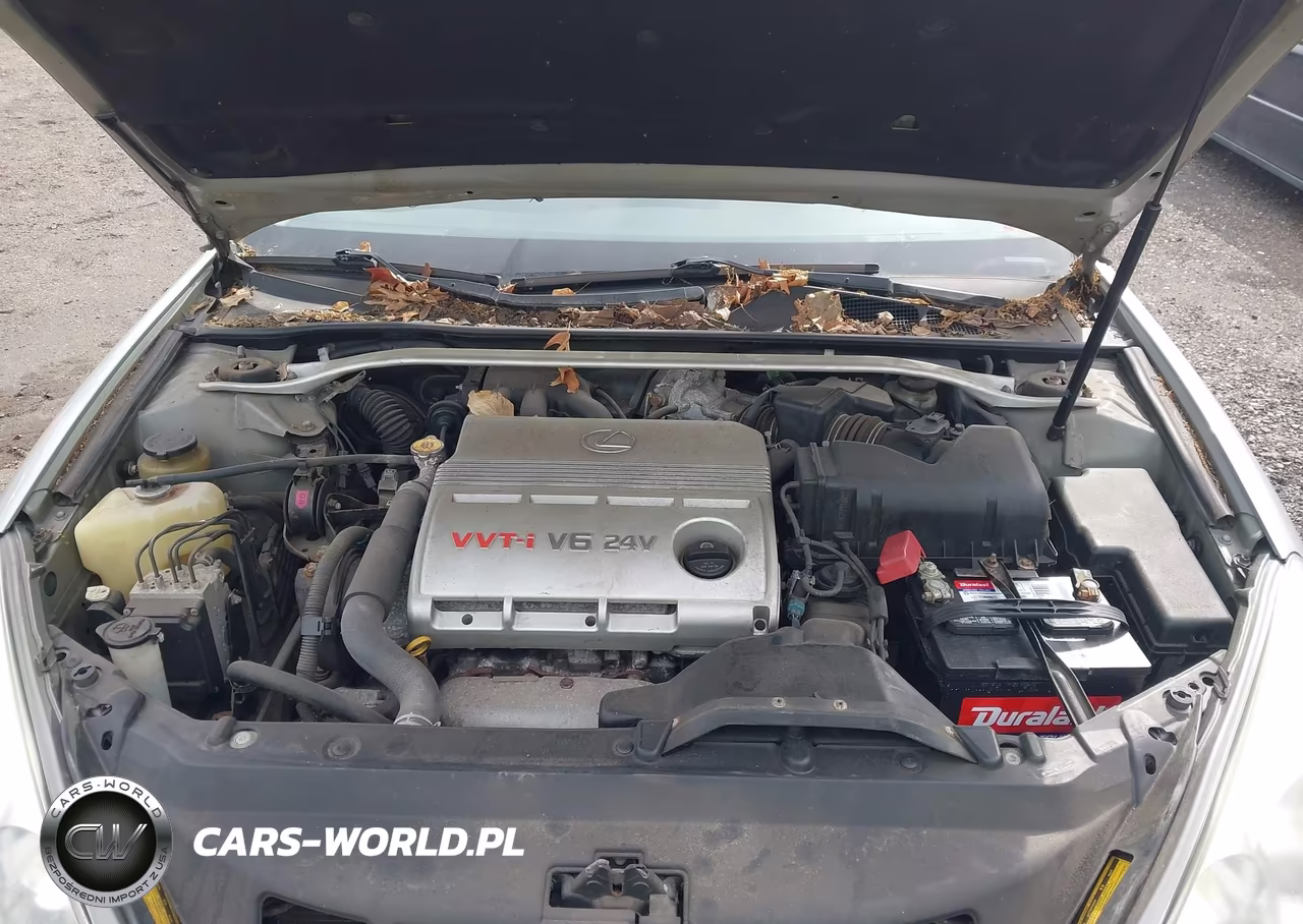 2003 Lexus Es 300 VIN:JTHBF30G430143672 - 10
