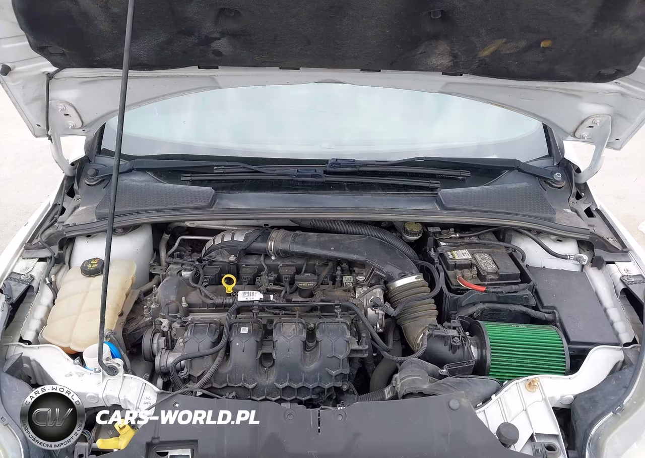 2014 Ford Focus St VIN:1FADP3L96EL311050 - 10