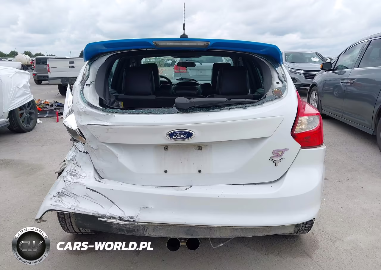 2014 Ford Focus St VIN:1FADP3L96EL311050 - 16