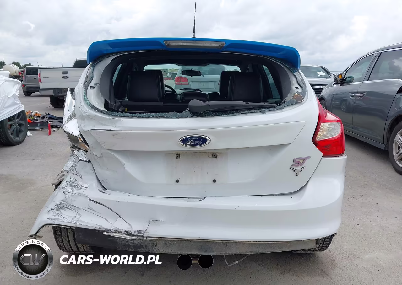 2014 Ford Focus St VIN:1FADP3L96EL311050 - 19