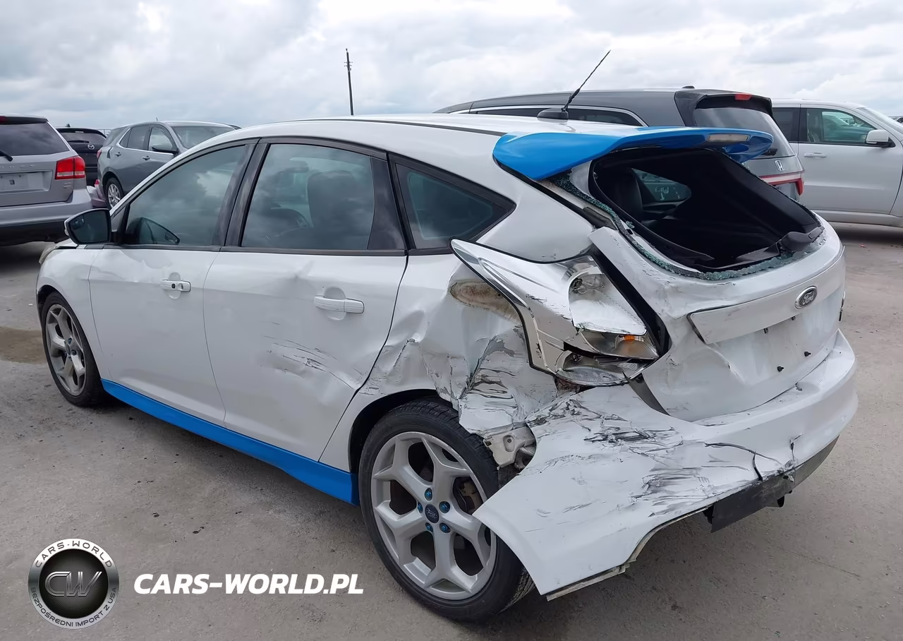 2014 Ford Focus St VIN:1FADP3L96EL311050 - 20