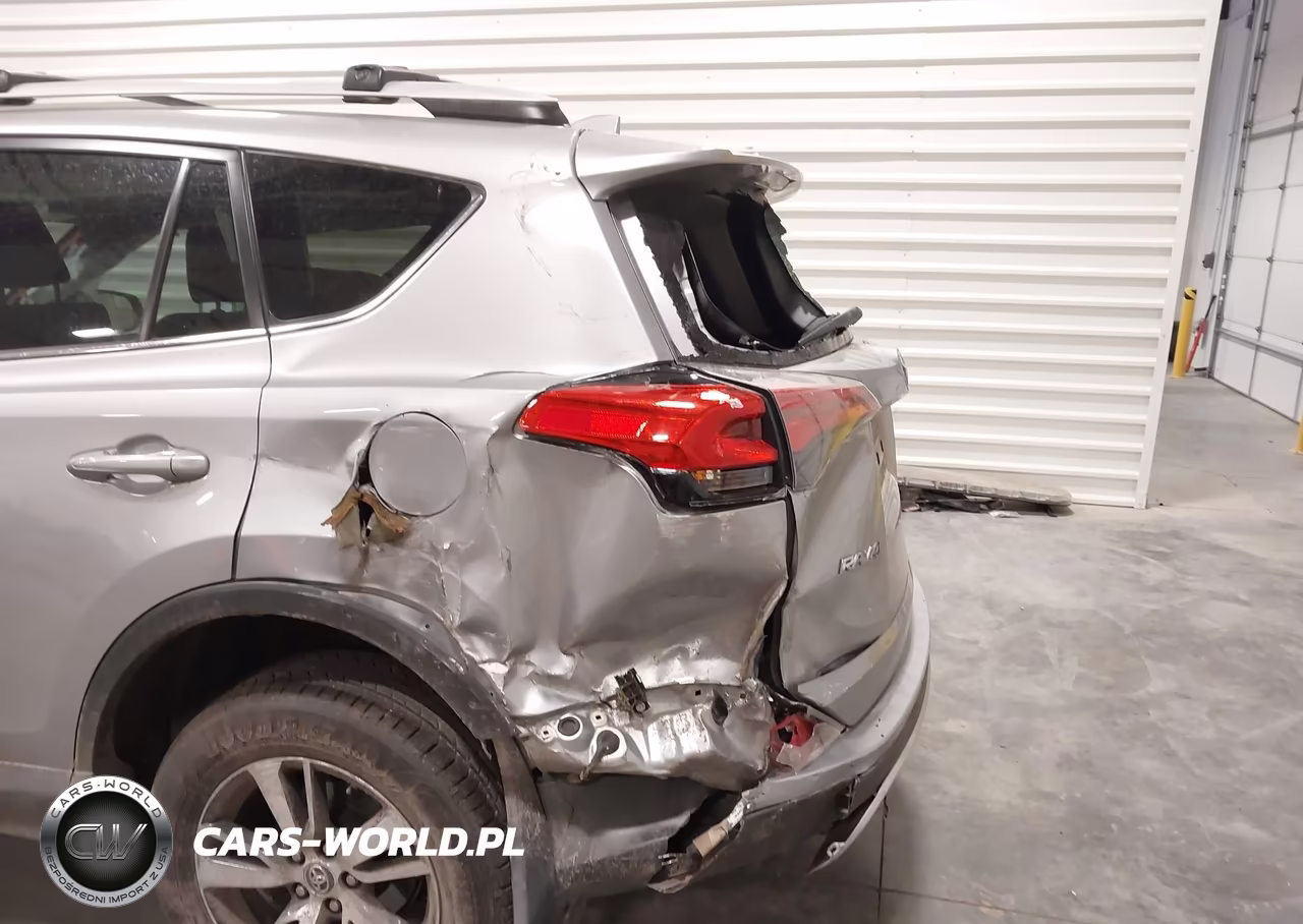 2016 Toyota Rav4 Xle VIN:2T3RFREV2GW539207 - 6