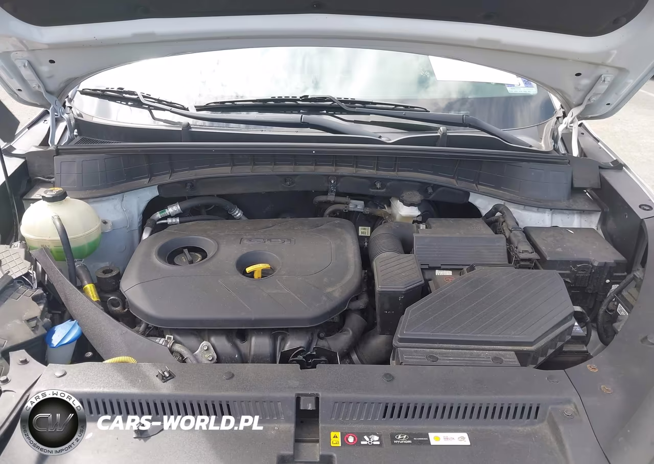 2019 Hyundai Tucson Se VIN:KM8J2CA49KU066121 - 10