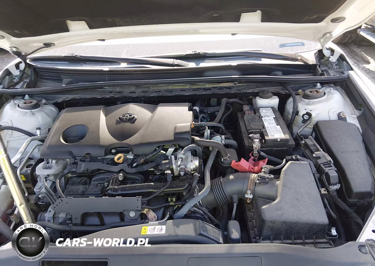 2022 Toyota Camry Le VIN:4T1C11AK3NU002028 - 10