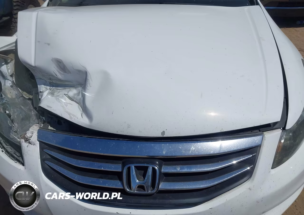 2011 Honda Accord 2.4 Ex VIN:1HGCP2F73BA004423 - 10