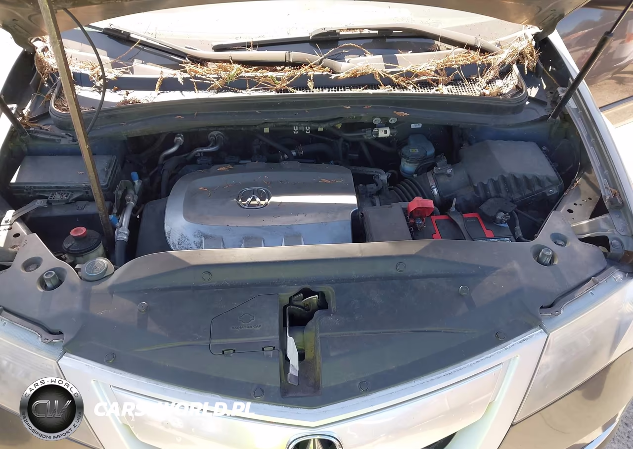 2010 Acura Mdx Technology Package VIN:2HNYD2H45AH528747 - 10
