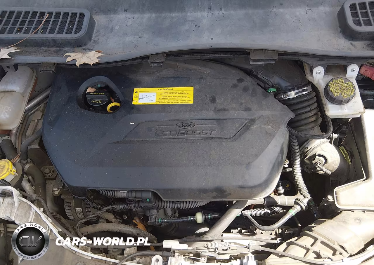 2016 Ford Escape Se VIN:1FMCU0GX1GUC66646 - 10