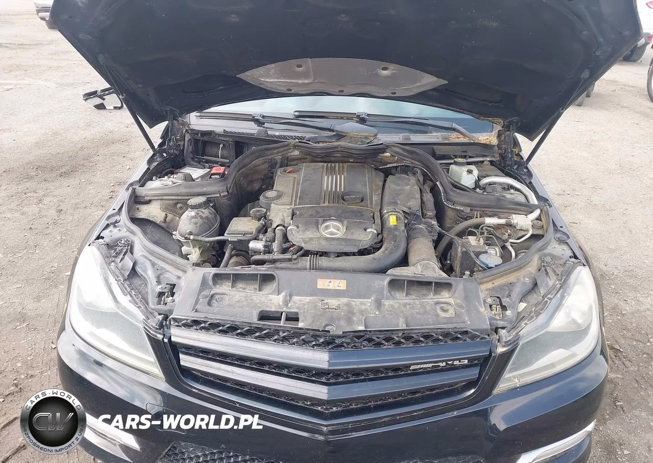 2012 Mercedes-Benz C 250 VIN:WDDGJ4HB9CF772979 - 10