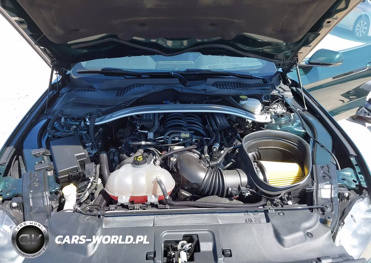 2019 Ford Mustang Bullitt VIN:1FA6P8K07K5502131 - 10