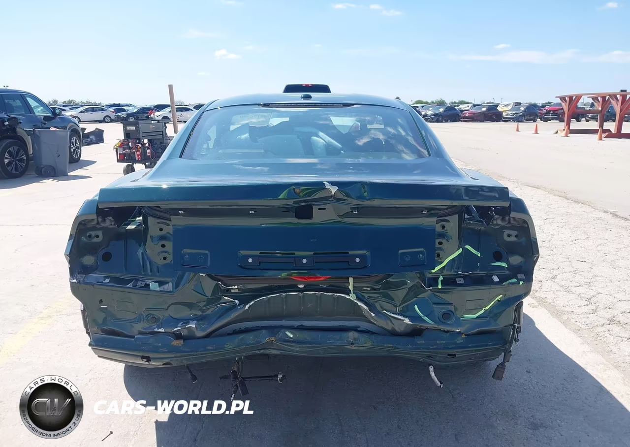 2019 Ford Mustang Bullitt VIN:1FA6P8K07K5502131 - 17