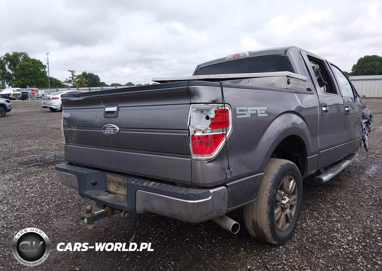 2009 Ford F-150 Xlt VIN:1FTRW12839FA25483 - 13