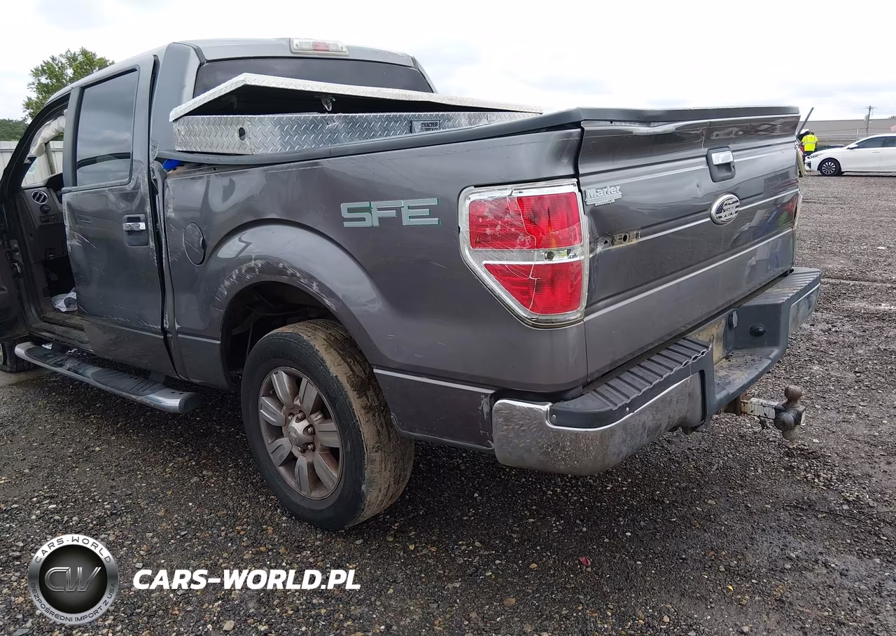 2009 Ford F-150 Xlt VIN:1FTRW12839FA25483 - 14