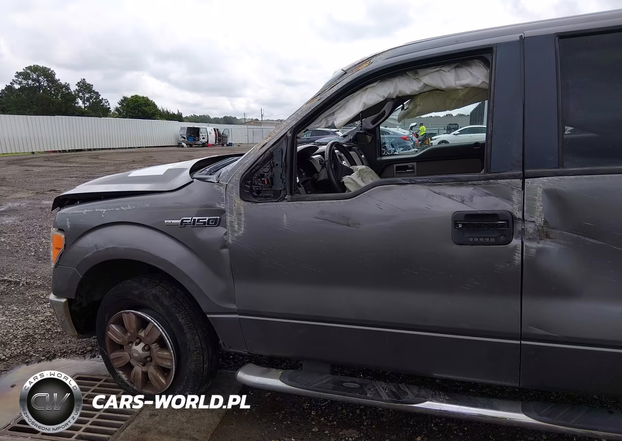 2009 Ford F-150 Xlt VIN:1FTRW12839FA25483 - 15