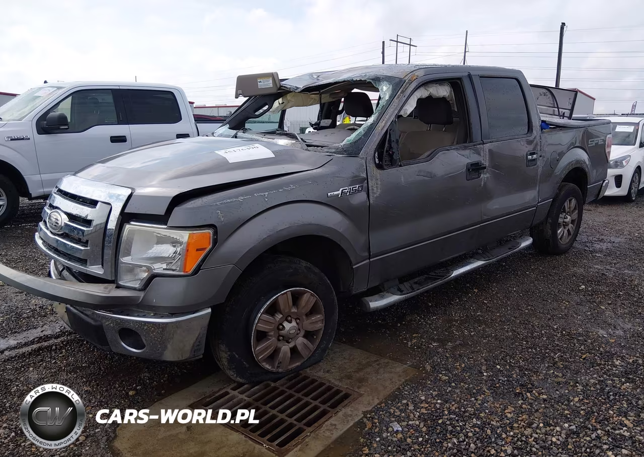 2009 Ford F-150 Xlt VIN:1FTRW12839FA25483 - 2