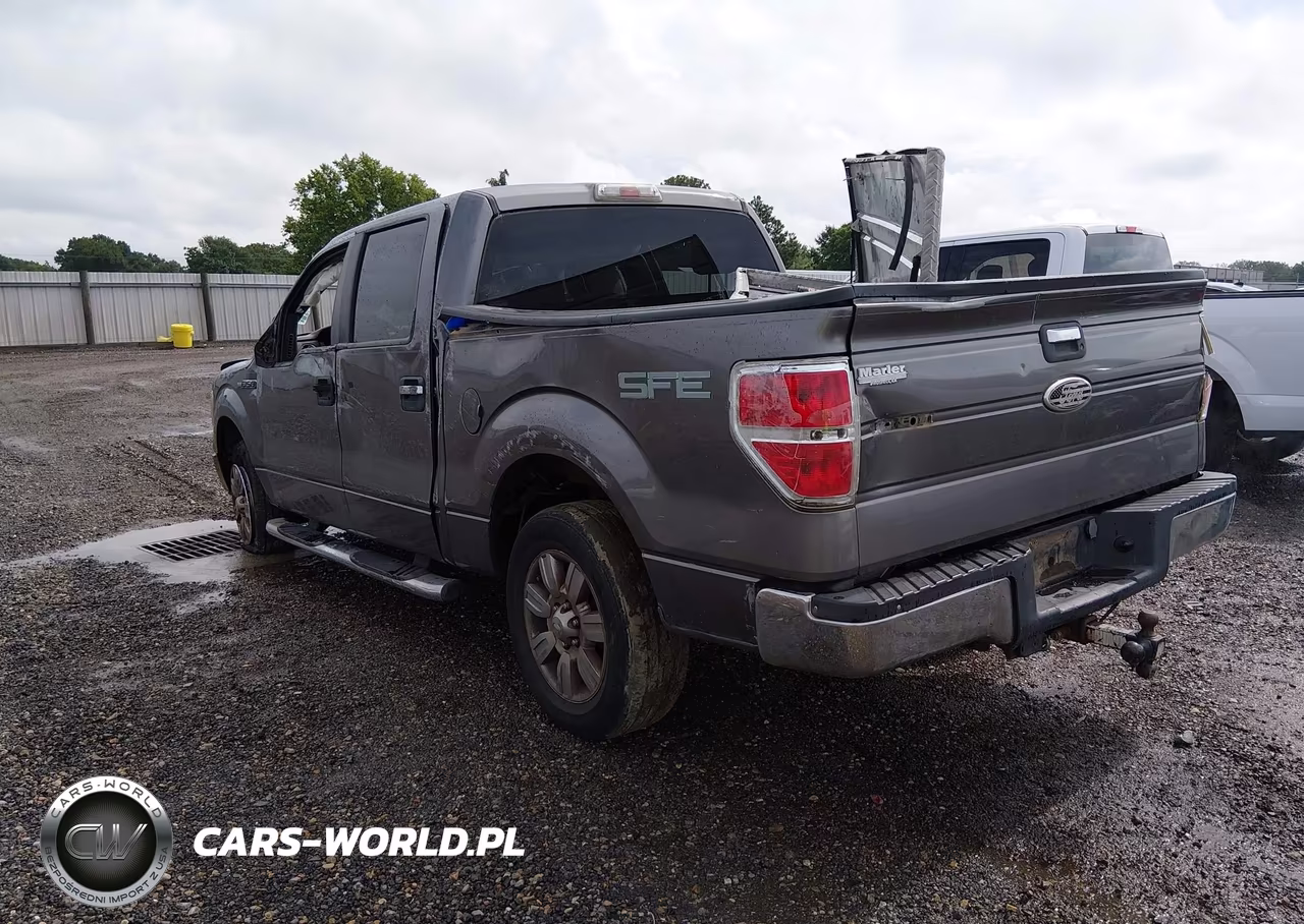 2009 Ford F-150 Xlt VIN:1FTRW12839FA25483 - 3