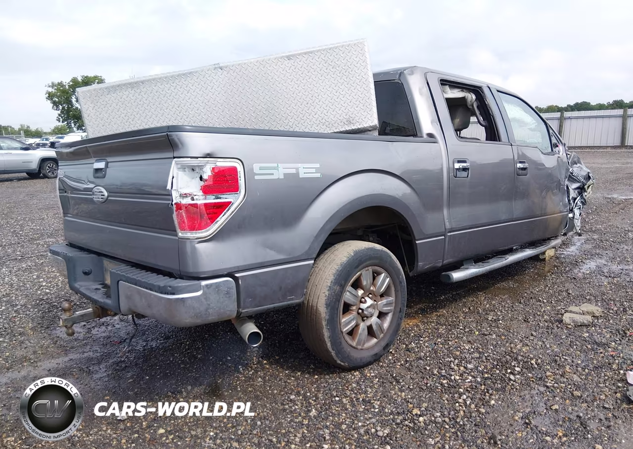 2009 Ford F-150 Xlt VIN:1FTRW12839FA25483 - 4