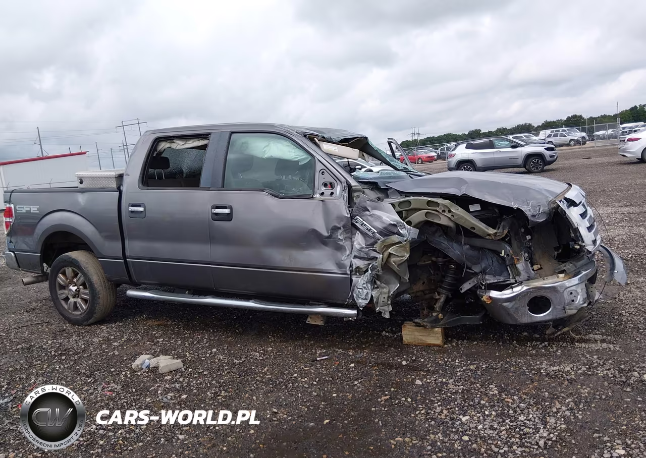 2009 Ford F-150 Xlt VIN:1FTRW12839FA25483 - 6