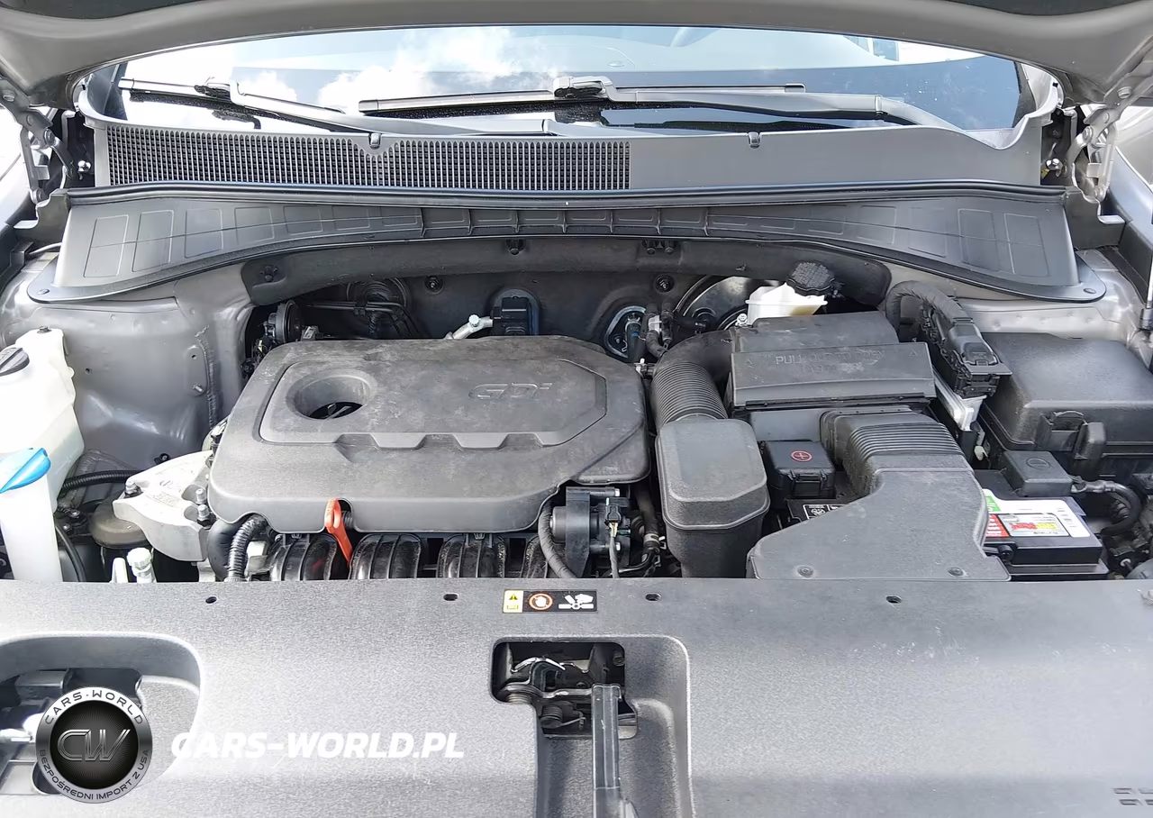 2018 Kia Sorento 2.4L L VIN:5XYPG4A31JG403684 - 10