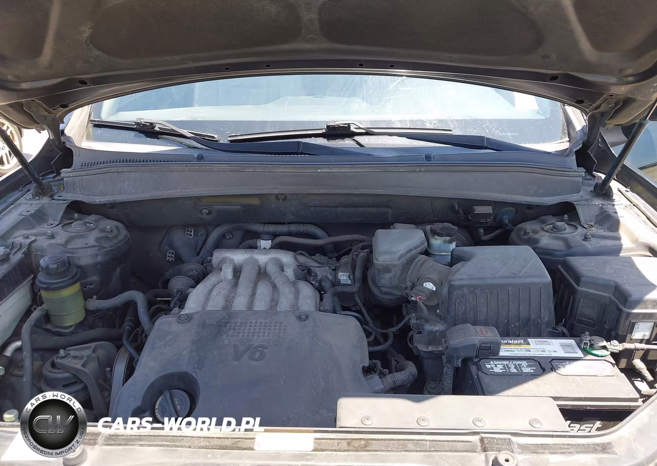 2009 Hyundai Santa Fe Gls VIN:5NMSG13D99H302019 - 10