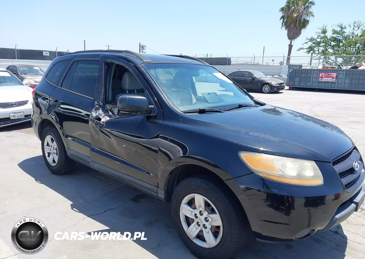 2009 Hyundai Santa Fe Gls VIN:5NMSG13D99H302019 - 6