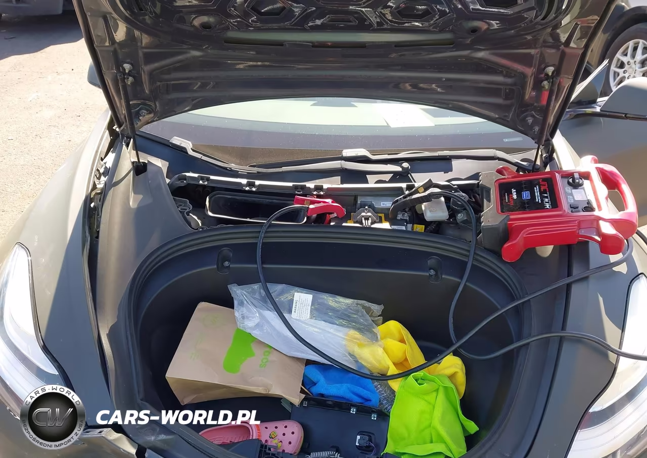 2020 Tesla Model 3 Performance Dual Motor All-Wheel Drive VIN:5YJ3E1EC7LF641725 - 10