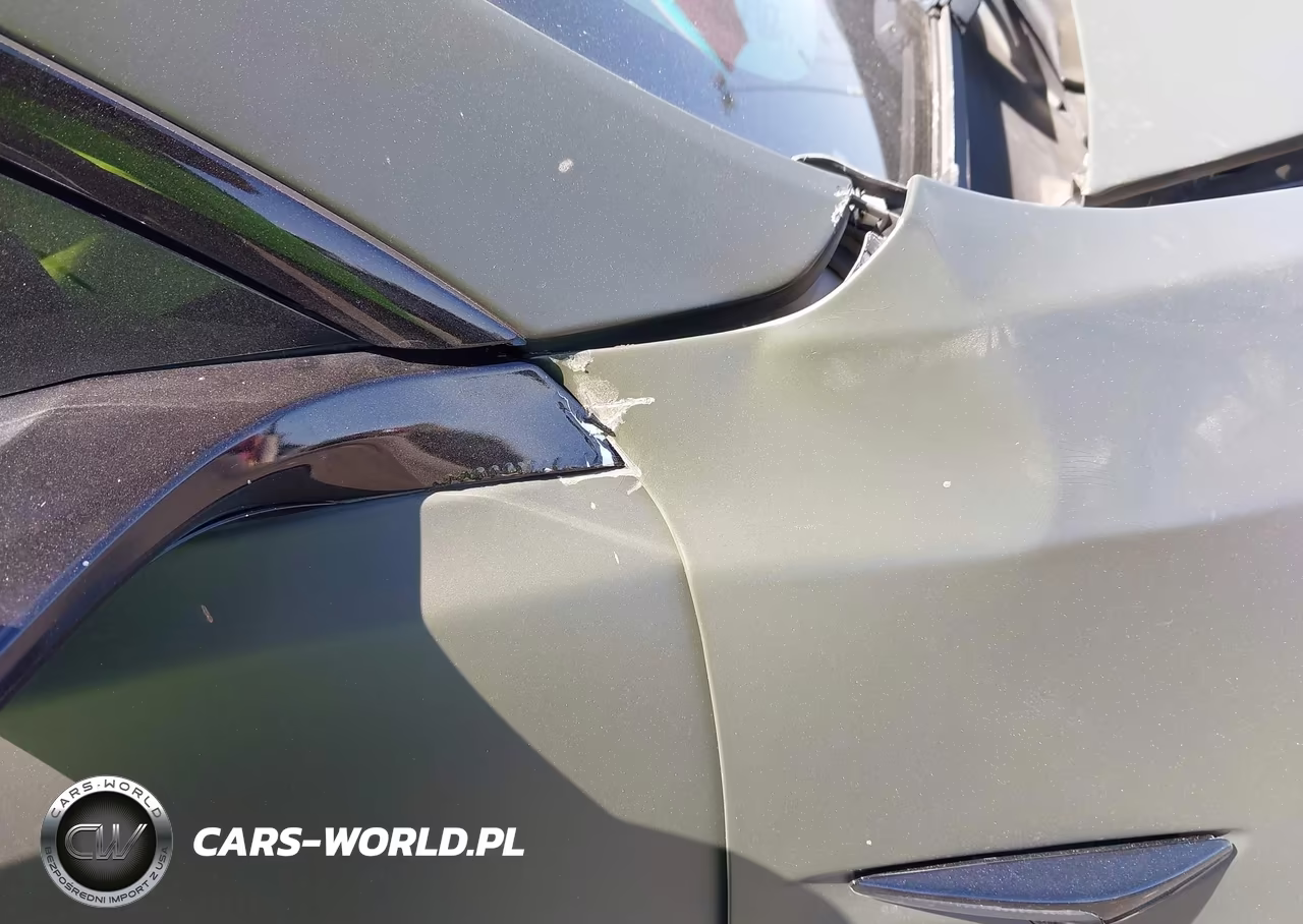 2020 Tesla Model 3 Performance Dual Motor All-Wheel Drive VIN:5YJ3E1EC7LF641725 - 19