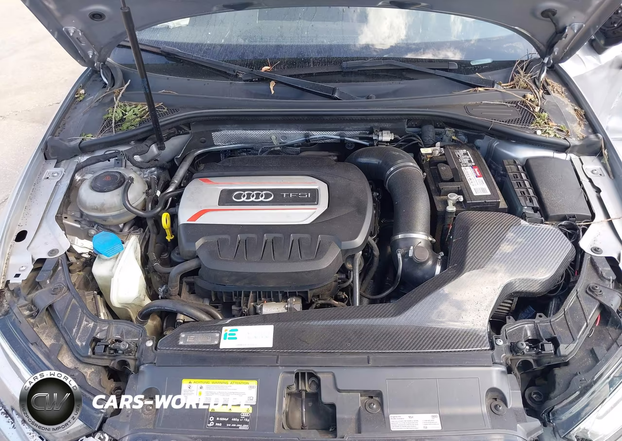 2018 Audi S3 2.0T Premium Plus-2.0T Tech Premium Plus VIN:WAUB1GFFXJ1043196 - 10