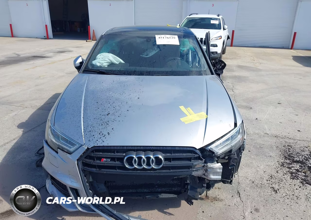 2018 Audi S3 2.0T Premium Plus-2.0T Tech Premium Plus VIN:WAUB1GFFXJ1043196 - 12