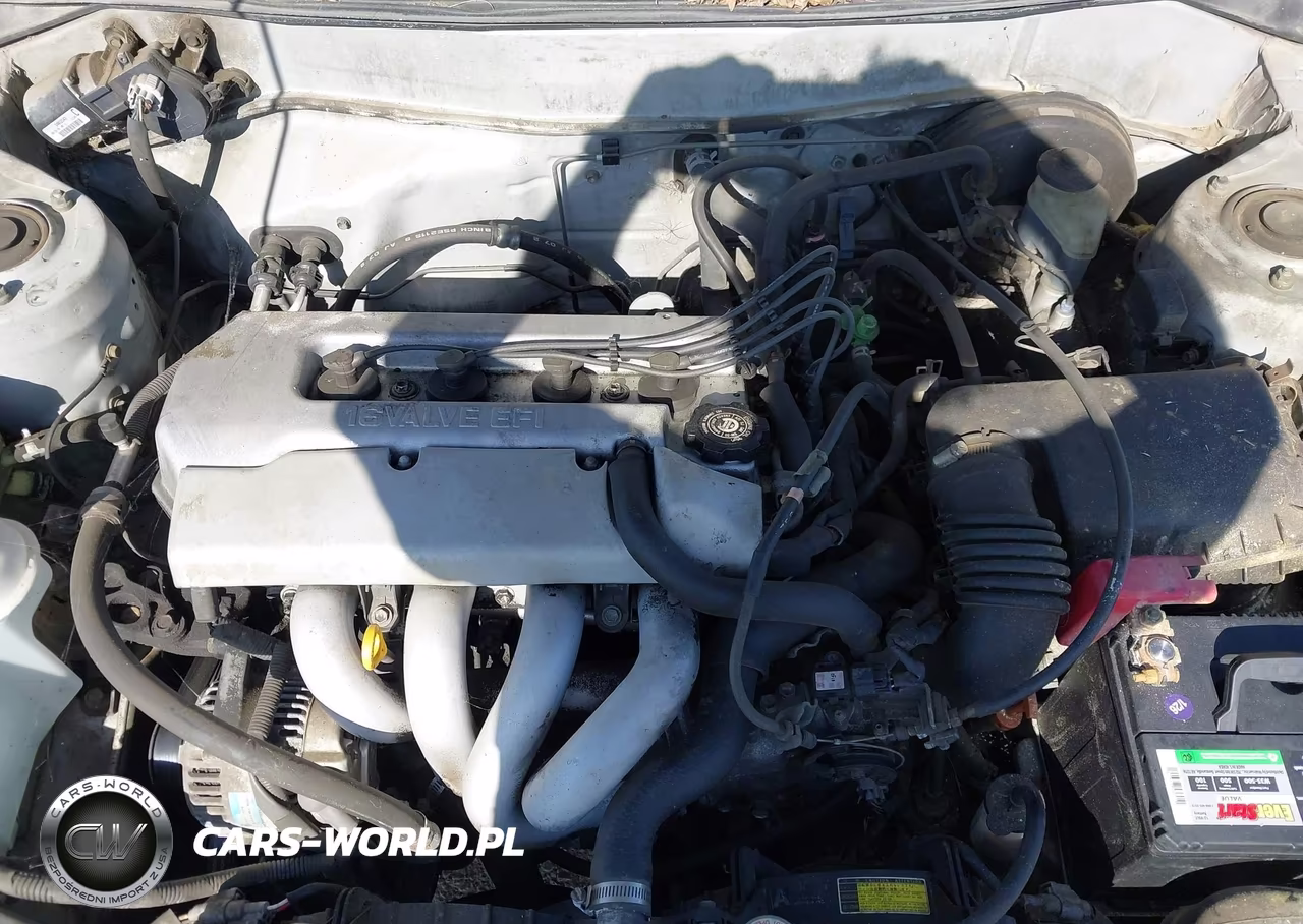 1999 Toyota Corolla Ce VIN:1NXBR12E6XZ156068 - 10